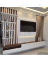 MODULAR DE TV MERCEDES