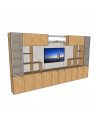 MODULAR DE TV QUIDITCH