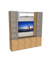 MODULAR DE TV SNITCH