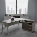 ESCRITORIO GERENCIAL VERENICE