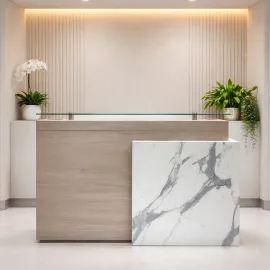 COUNTER DE RECEPCION ALICE