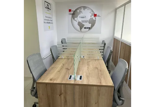 PROYECTO INSTITUTO EUROPEO