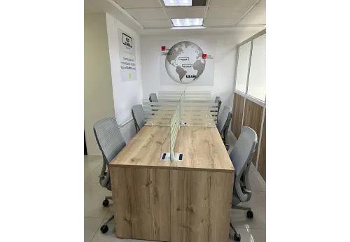 PROYECTO INSTITUTO EUROPEO